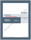 Patent Assessment Report by IPVision