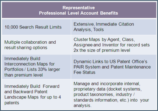 IPVision Advantage - Professinal Patent Analysis Benefits