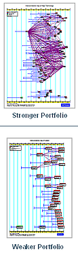 Strong and Weak Patent Portfolios