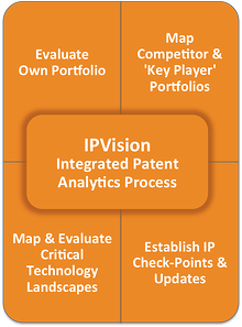 Integrated Patent Analytics Process - IPVision