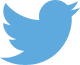 Twitter logo blue resized 600