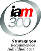 Hoo-Min Toong, IAM Strategy 300 2013