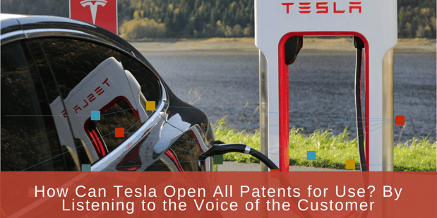 tesla voice of customer