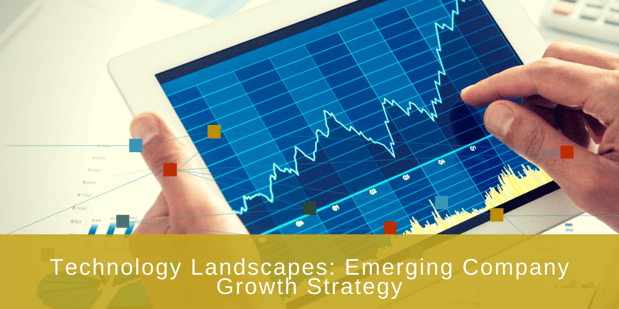 technology landscape growth strategy